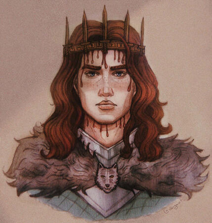 the king in the north